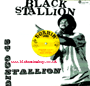 12" Stallion Extended/Stallion Vocal Dub BLACK STALLION